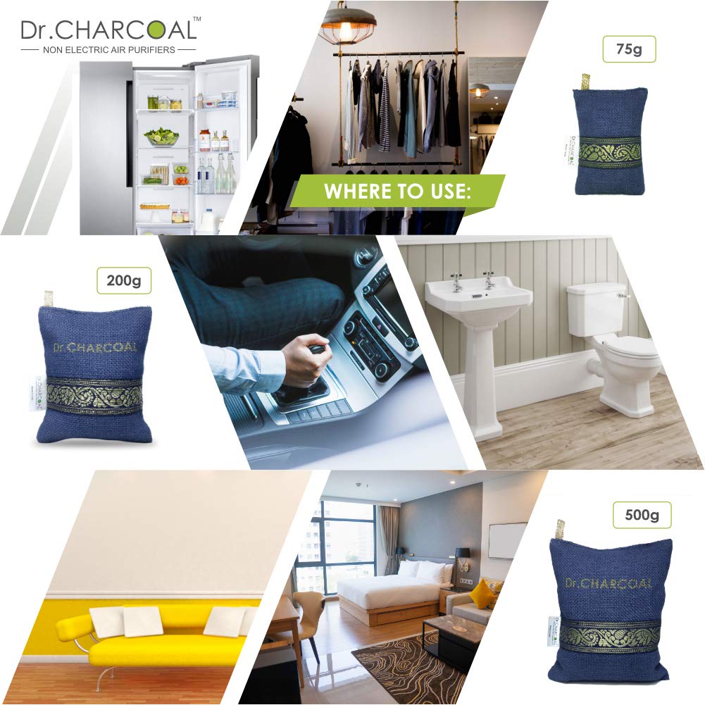 Charcoal air deals cleaners