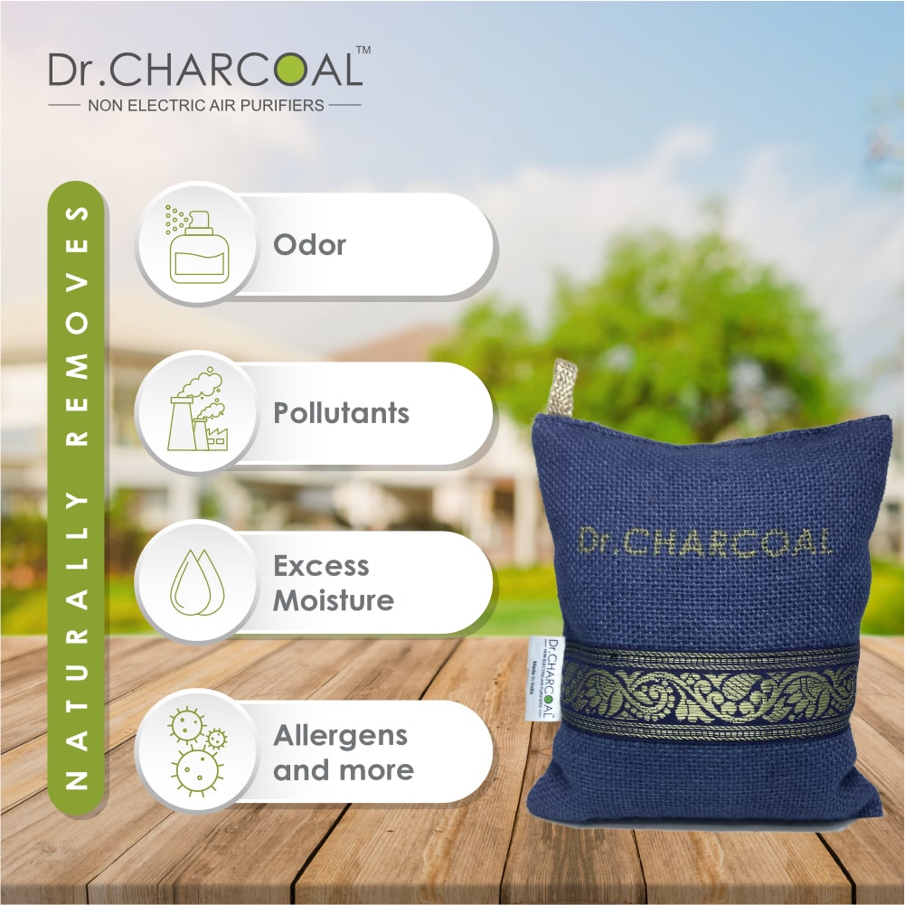Dr. CHARCOAL Air Purifier Bags to Deodorize and Dehumidify Wardrobe, Fridge and Shoe Rack (75g)